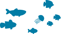 fish-small
