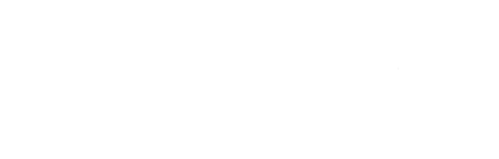 SS.Logo.White